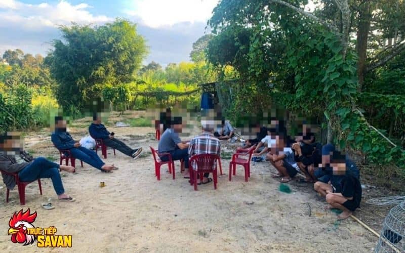 Hiện trường tổ chức đá gà cựa sắt ăn tiền
