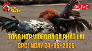 Tổng Hợp Video Đá Gà Phát Lại CPC1 Ngày 24-05-2025 của tructiepsavan
