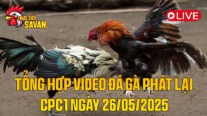 Tổng Hợp Video Đá Gà Phát Lại CPC1 Ngày 26-05-2025 của tructiepsavan