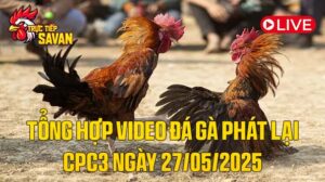 Tổng Hợp Video Đá Gà Phát Lại CPC3 Ngày 27-05-2025 của tructiepsavan