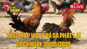 Tổng Hợp Video Đá Gà Phát Lại CPC3 Ngày 30-05-2025 của tructiepsavan