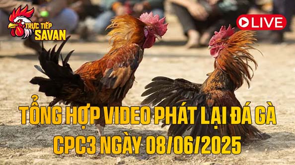 Tổng Hợp Video Phát Lại Đá Gà CPC3 Ngày 08-06-2025 của tructiepsavan