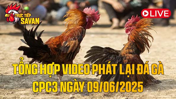 Tổng Hợp Video Phát Lại Đá Gà CPC3 Ngày 09-06-2025 của tructiepsavan